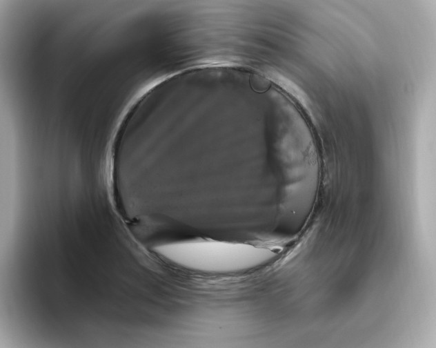 X0000094791179200711301600