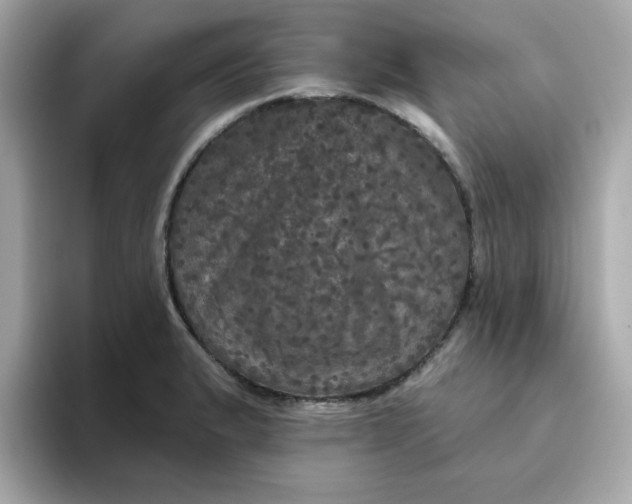 X0000094791183200711301600