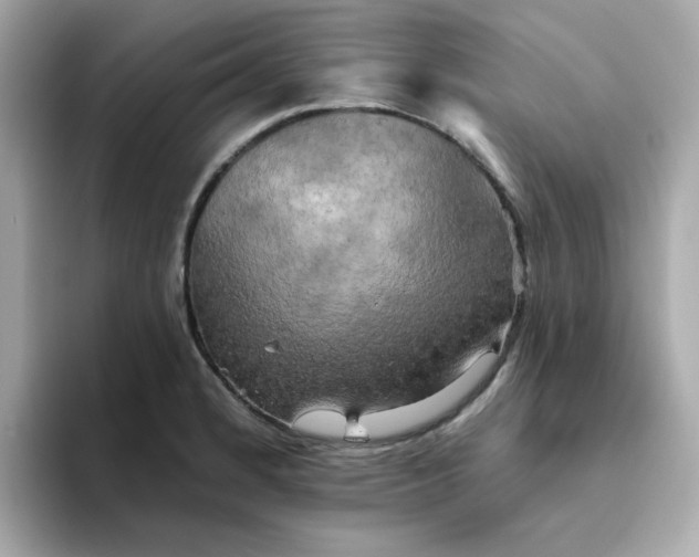 X0000094791184200711301600