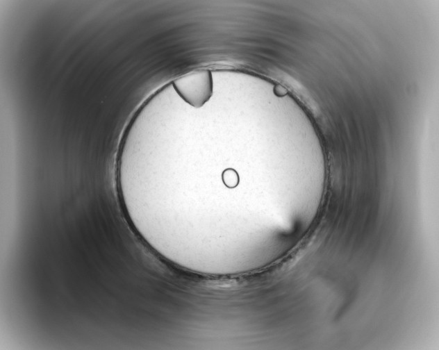 X0000094791186200711301600