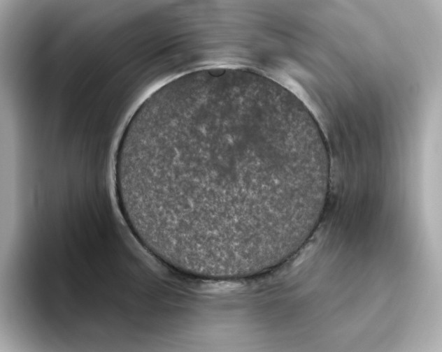 X0000094791187200711301600