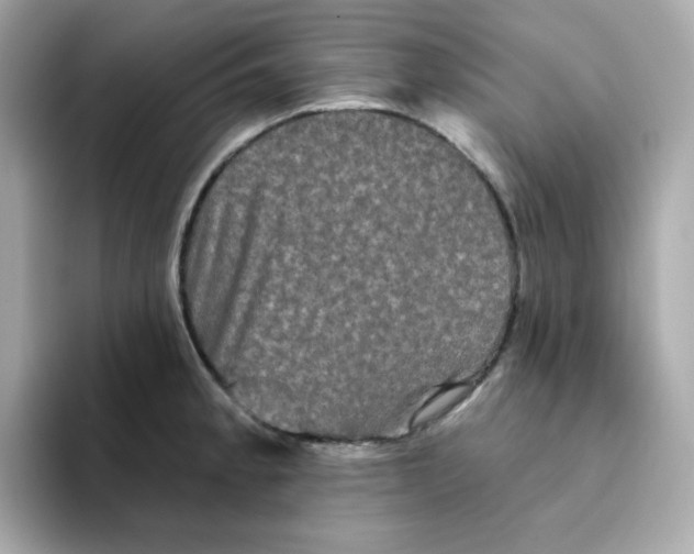 X0000094791189200711301600