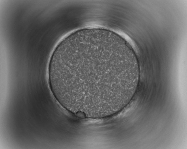 X0000094791191200711301600