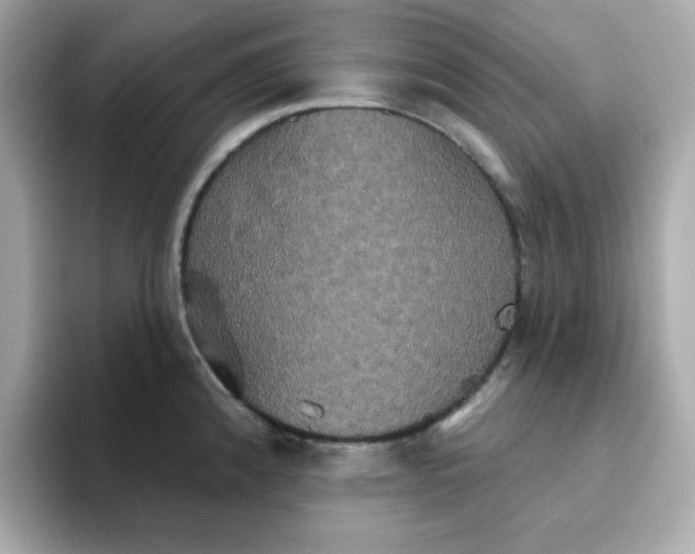 X0000094791192200711301600