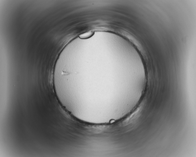 X0000094791193200711301600