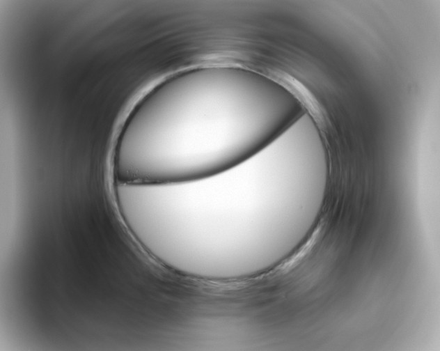 X0000094791196200711301600