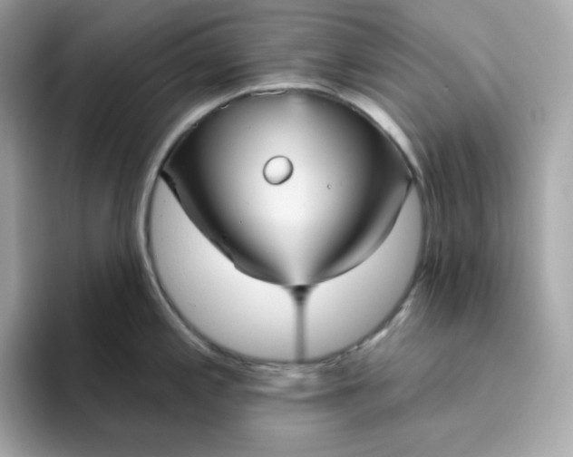 X0000094791197200711301600