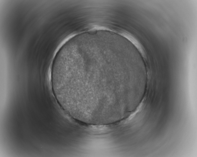 X0000094791198200711301600