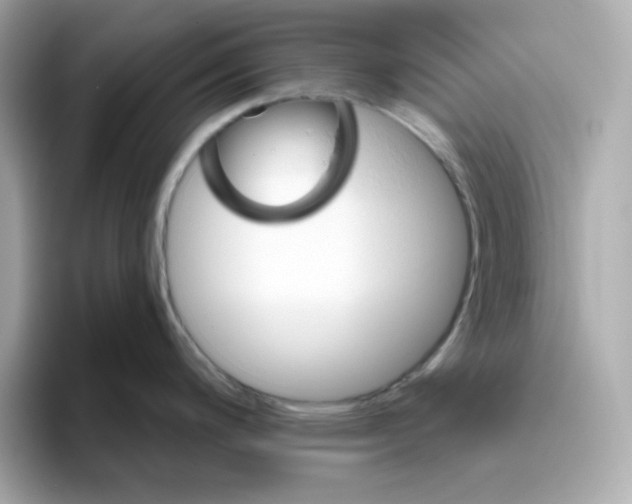 X0000094791200200711301600