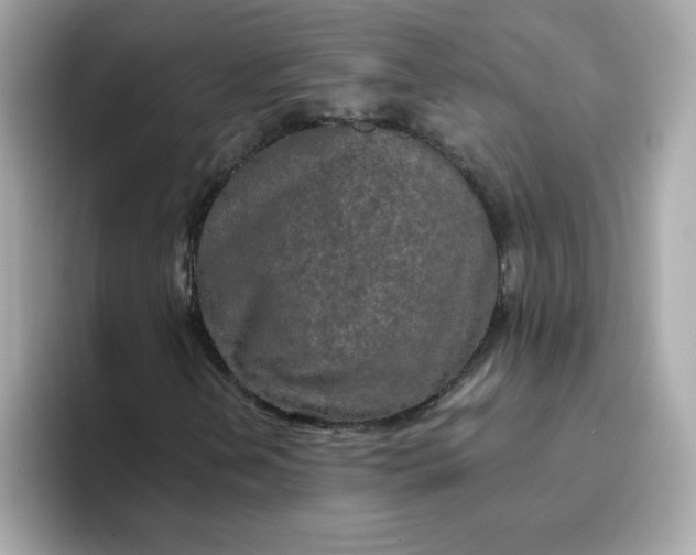 X0000094791202200711301559