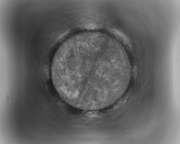 X0000094791205200711301559