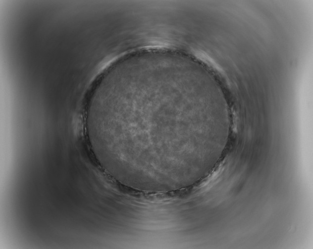 X0000094791208200711301559