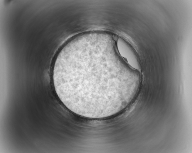 X0000094791212200711301559