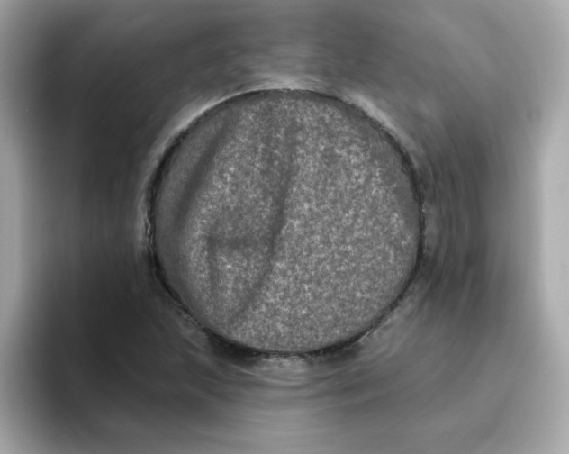 X0000094791215200711301559