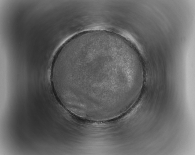 X0000094791216200711301559