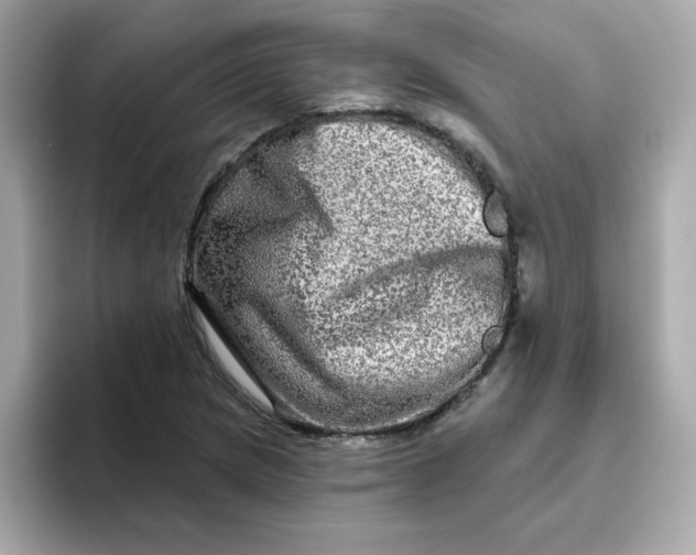 X0000094791217200711301559