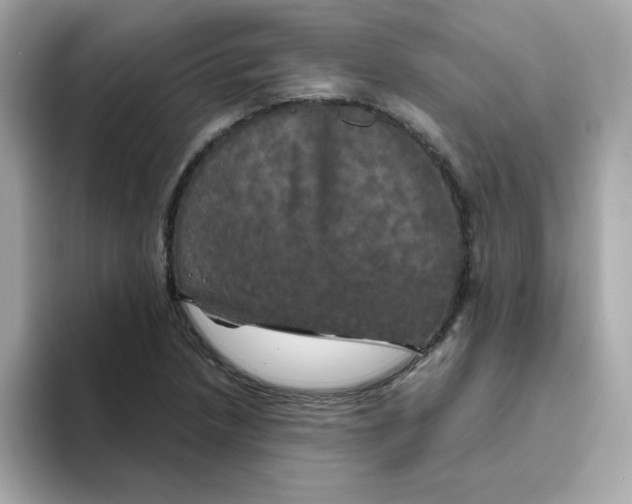 X0000094791218200711301559