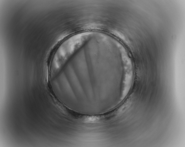 X0000094791219200711301559