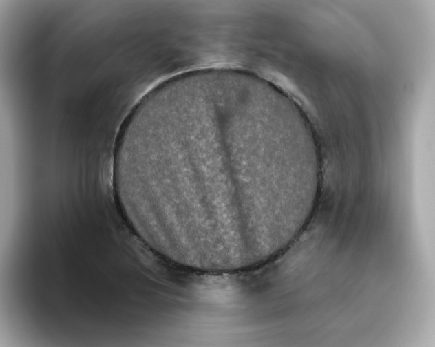 X0000094791220200711301559