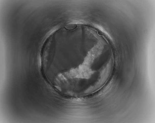 X0000094791221200711301559