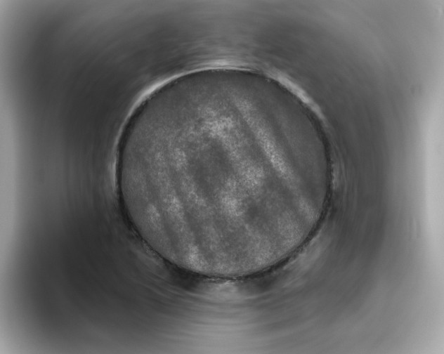 X0000094791222200711301559