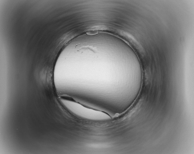 X0000094791225200711301559