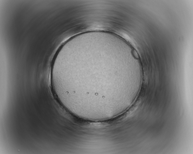 X0000094791227200711301559