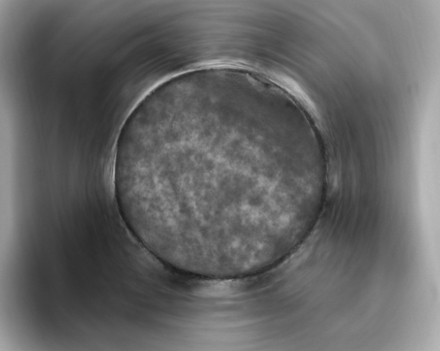 X0000094791228200711301559