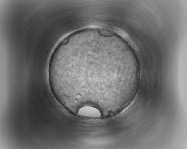 X0000094791232200711301600