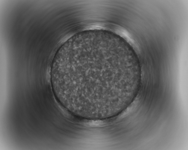 X0000094791233200711301600