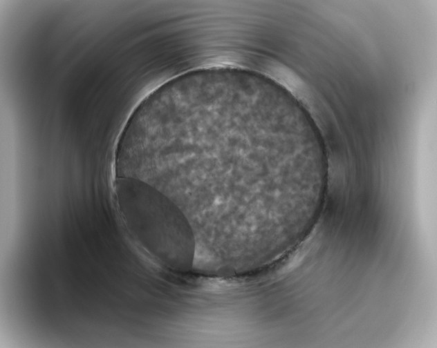 X0000094791234200711301600