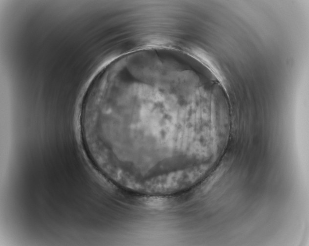 X0000094791235200711301600