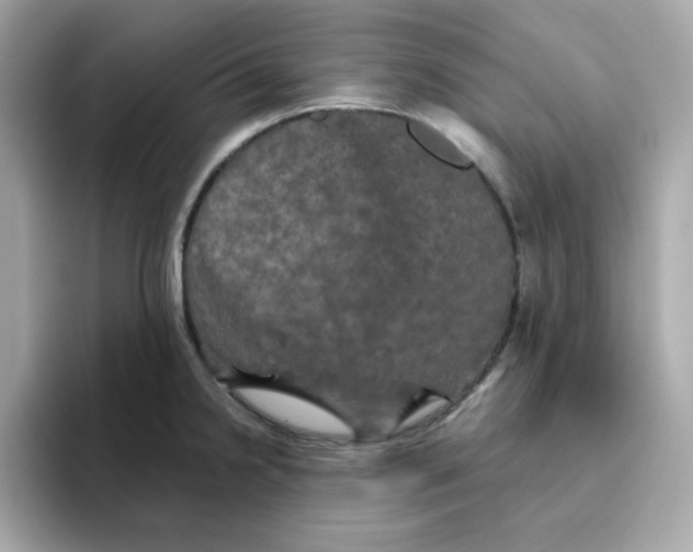 X0000094791238200711301600