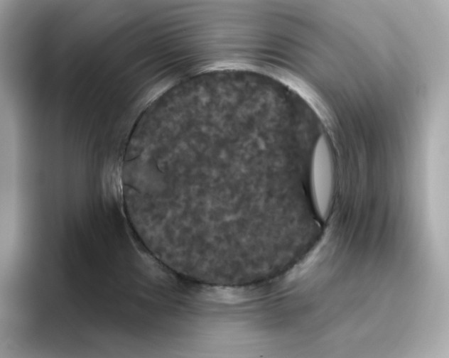 X0000094791241200711301600