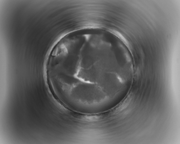 X0000094791243200711301600