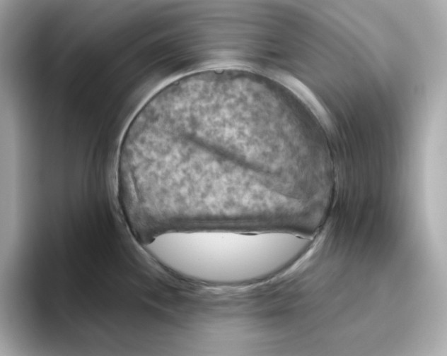 X0000094791244200711301600