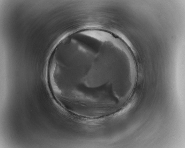 X0000094791245200711301600