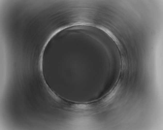 X0000094791246200711301600