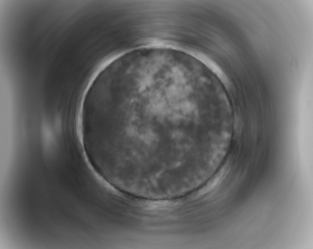 X0000094791247200711301600