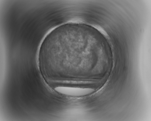 X0000094791248200711301600