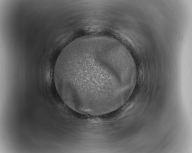 X0000094791250200711301559