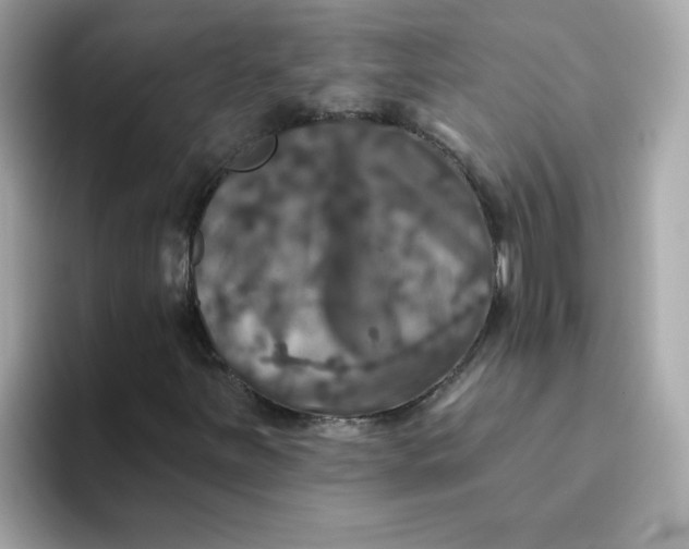 X0000094791251200711301559