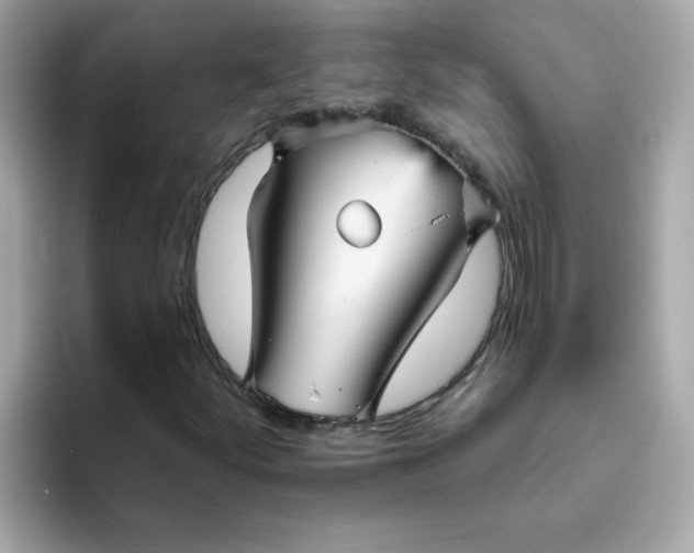 X0000094791252200711301559