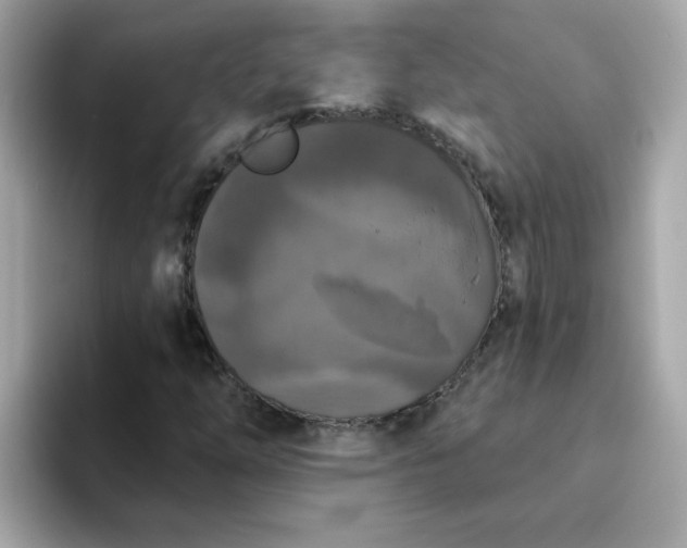 X0000094791254200711301559