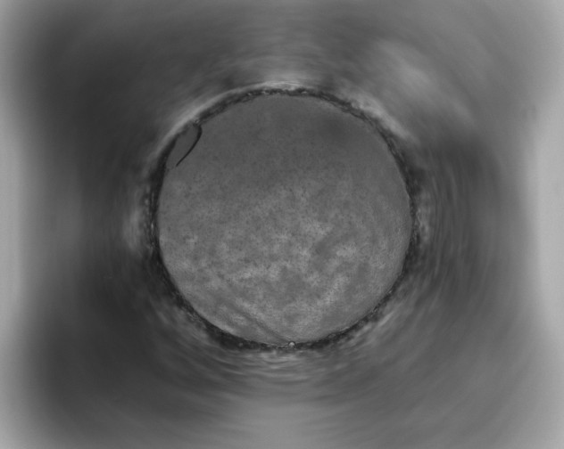 X0000094791256200711301559