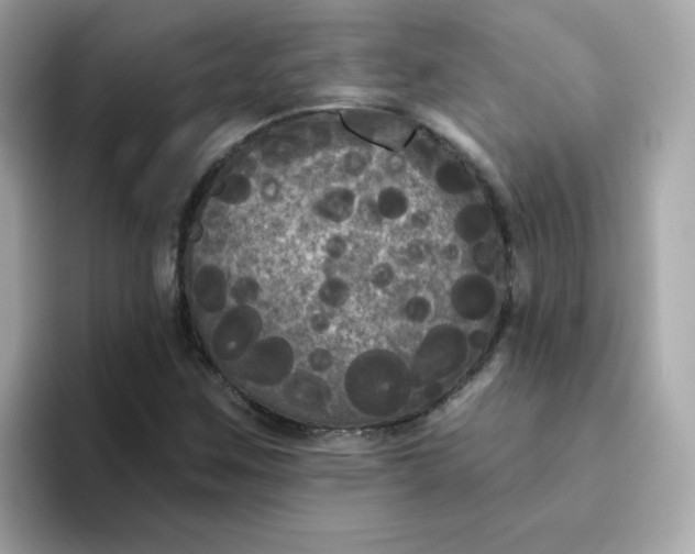 X0000094791259200711301559