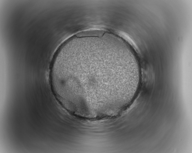 X0000094791260200711301559