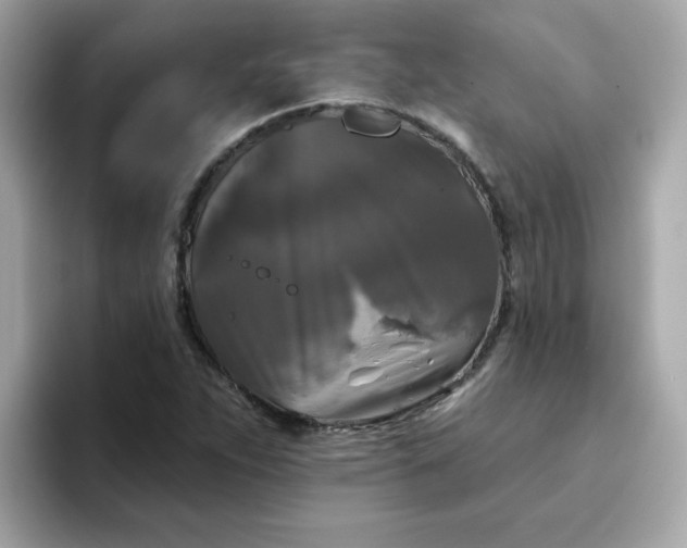 X0000094791263200711301559