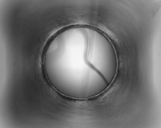 X0000094791264200711301559