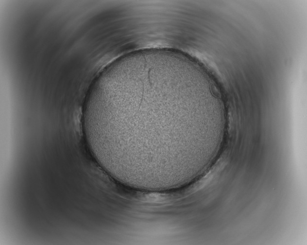 X0000094791265200711301559